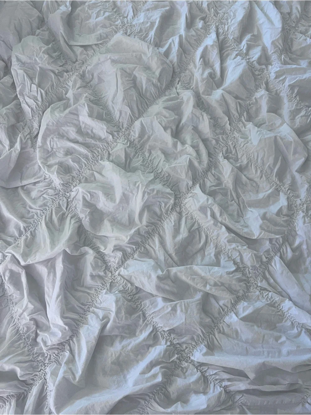 Organic Cotton Bedding duvet cover and sham by pottery barn teen. Twin XL